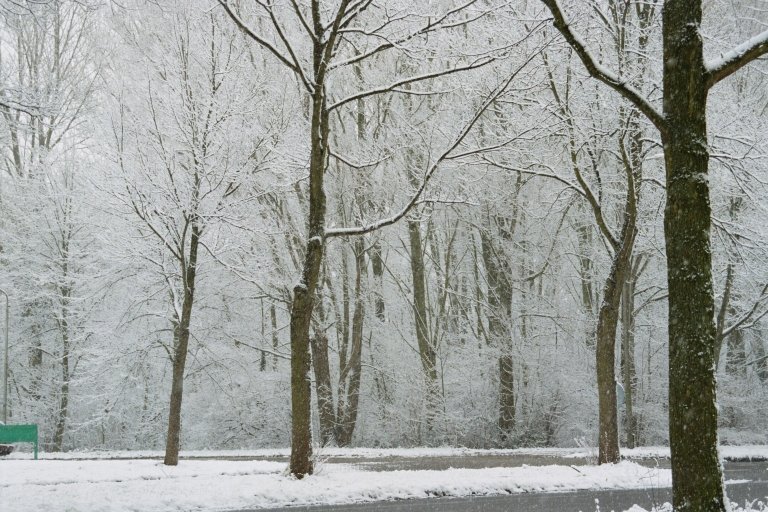 20040101 02 vanaalstlaan